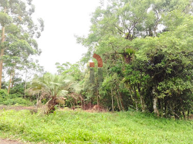 Terreno no Morro  -  Caraá