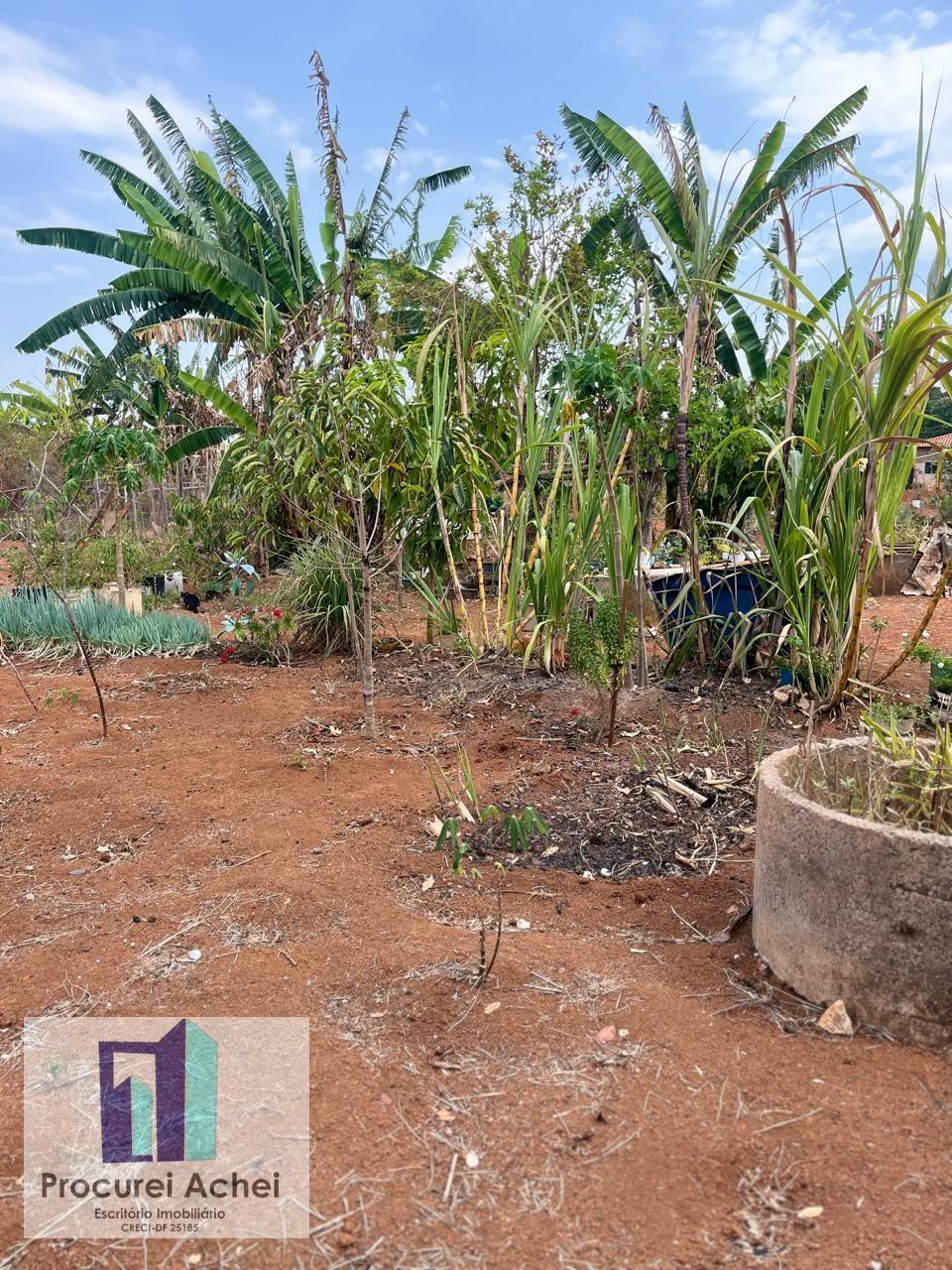 Rural à venda com 5000m² de terreno no Rajadunha I, Brasília (DF) — foto 8 de 21
