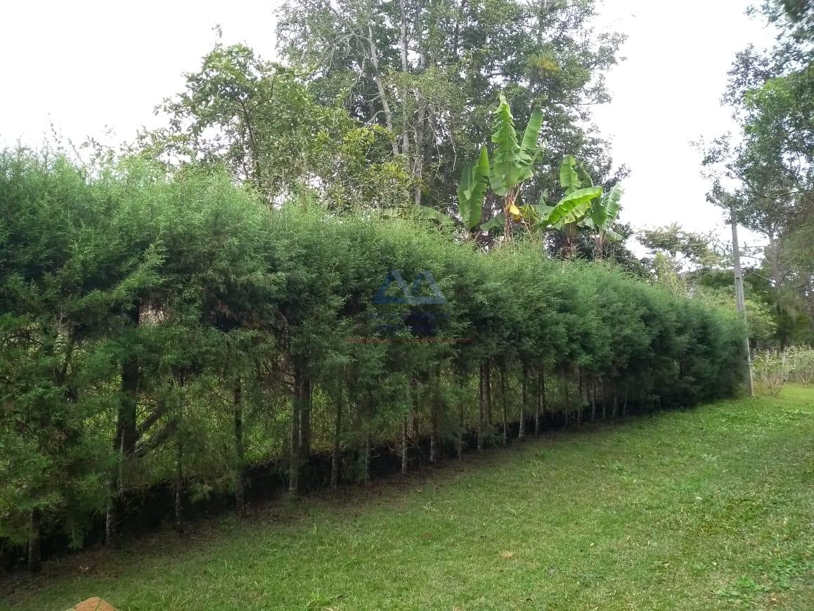 Rural à venda com 1800m² de terreno no Sorocabuçu, Ibiúna (SP) — foto 10 de 30