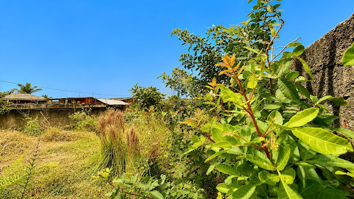 Terreno à Venda em Piçarras, Guaratuba por R$ 130 mil