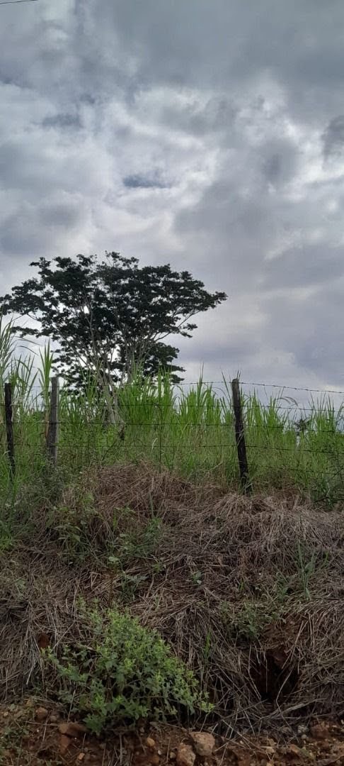 Comercial à venda com 17000m² no Estância Jockey Clube, São José do Rio Preto (SP) — foto 4 de 5