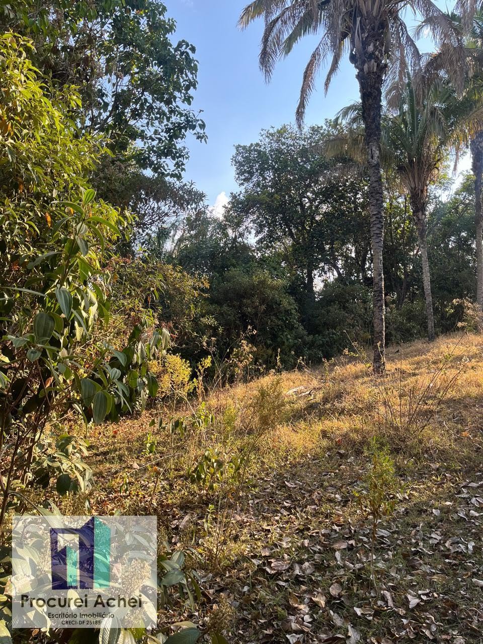Rural à venda com 50000m² de terreno no Área Rural de Planaltina, Planaltina (GO) — foto 2 de 25