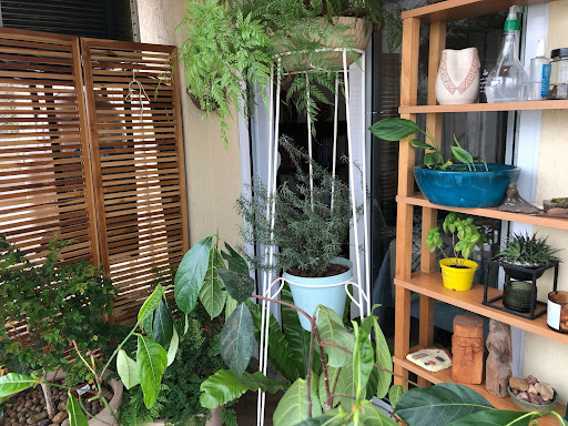 Apartamento à Venda ou Locação Rua Roma, Lapa/SP 