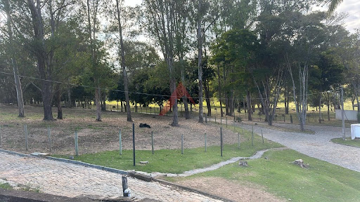 Fazenda em Bom Sucesso  -  Bom Sucesso