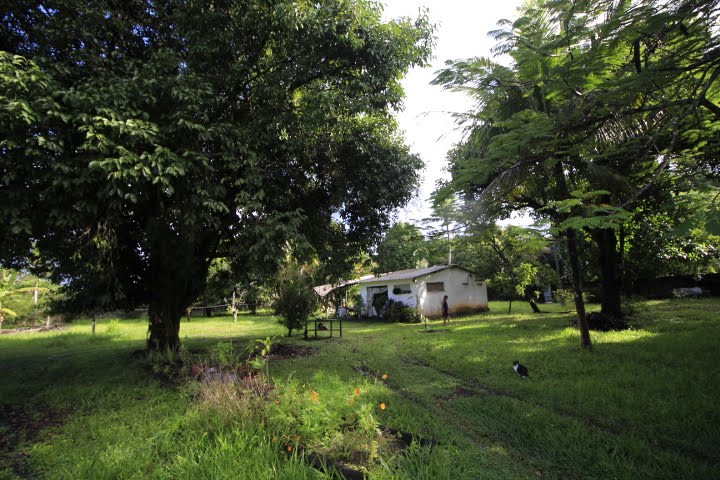 Casa à venda com 10000m² no Guabiraba, Recife (PE) — foto 15 de 23