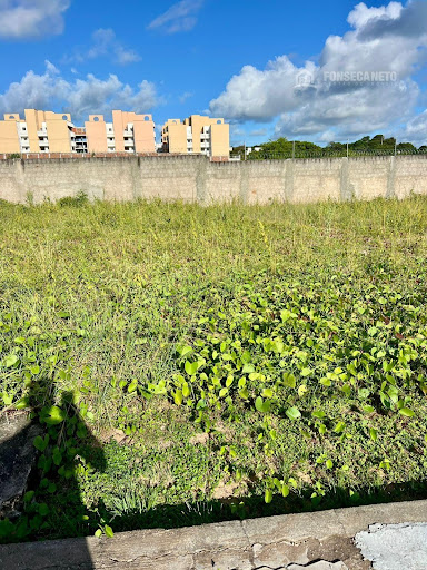terre verdes mares.jpg