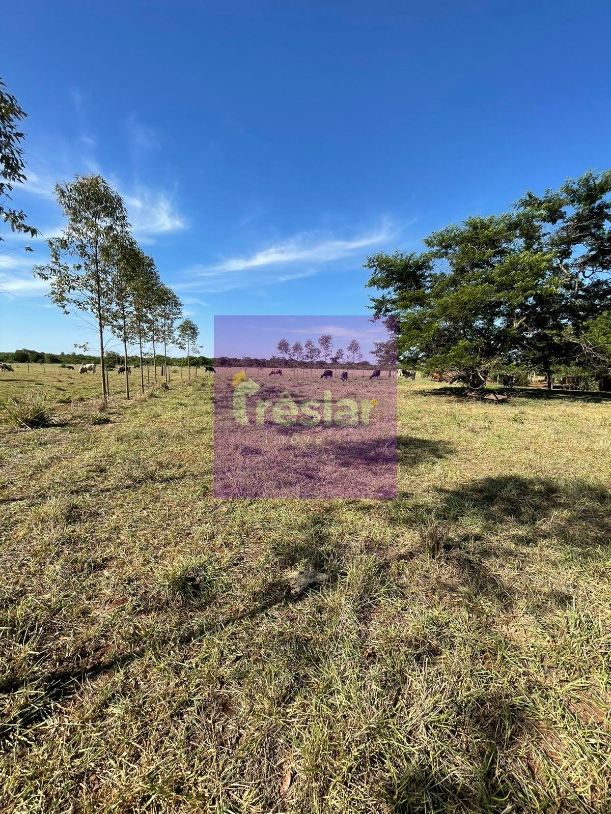 Rural à venda com 80m² de terreno no Chácara, Três Lagoas (MS) — foto 2 de 12