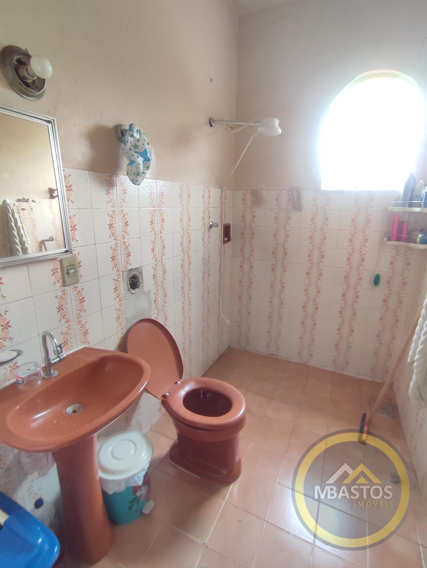 Banho Social da Casa 