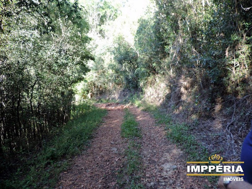 Foto 06