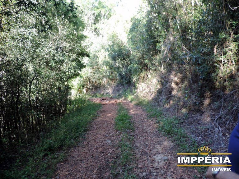 Foto 06