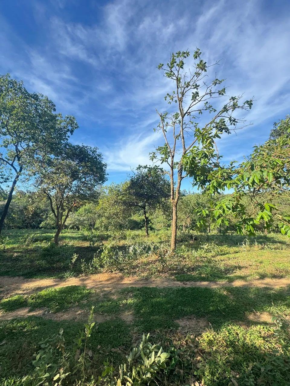 Rural à venda com 20000m² de terreno no Estiva, Sete Lagoas (MG) — foto 4 de 7