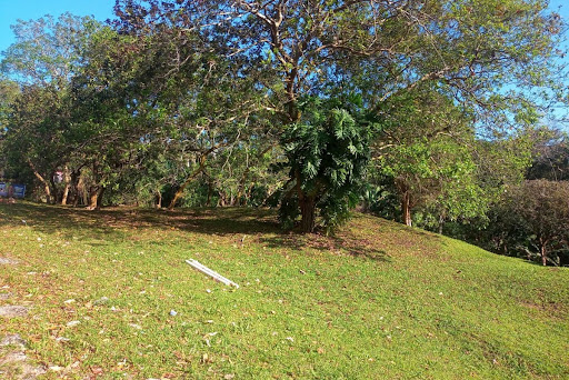 Área em Potecas  -  São José