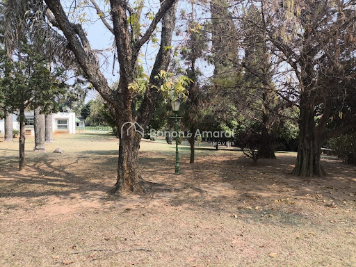 Casa, 3 quartos, 438 m² - Foto 21