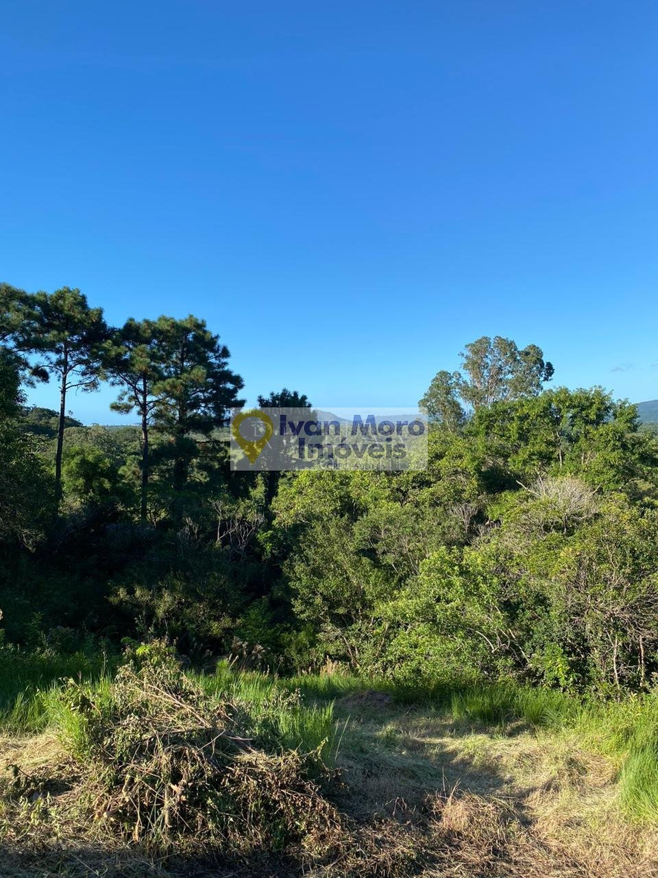 Terreno à venda com 14000m² de terreno no Santo Antônio de Lisboa, Florianópolis (SC) — foto 6 de 6