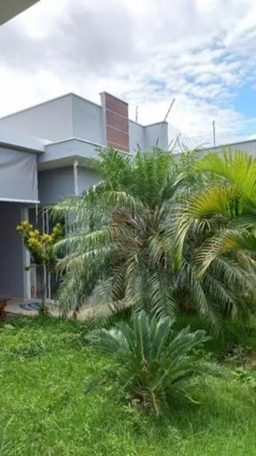 Foto 03
