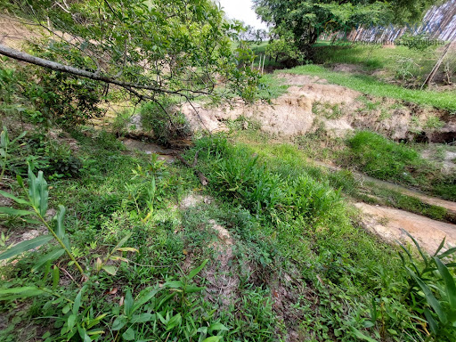 Terreno para chácara com área de preservação ambiental e lagoa no bairro Graminha em São Pedro: venda por R$ 600.000,00