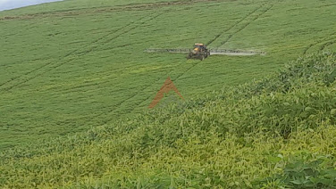 Fazenda em Seritinga/MG