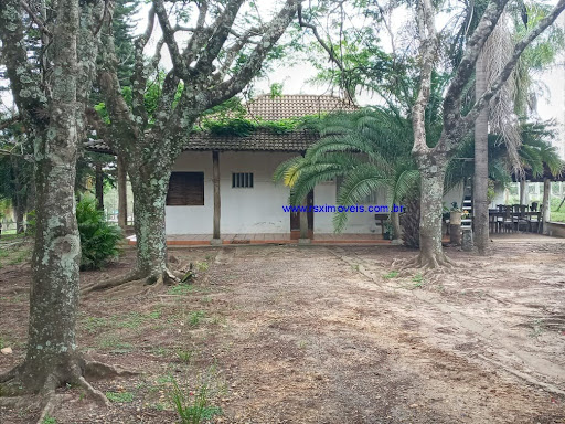 Foto 03