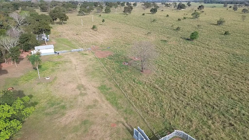Fazenda em Zona Rural  -  Rochedo