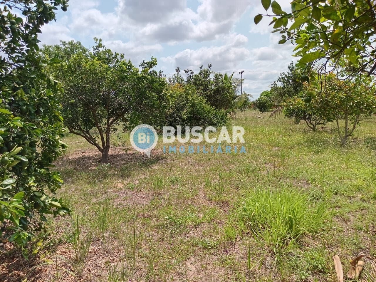 Rural para alugar com 3600m² de terreno no Centro, Irará (BA) — foto 20 de 30