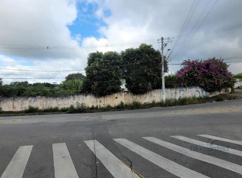 Terreno à venda com 14000m² de terreno no Jardim Caiubi, Itaquaquecetuba (SP) — foto 4 de 15