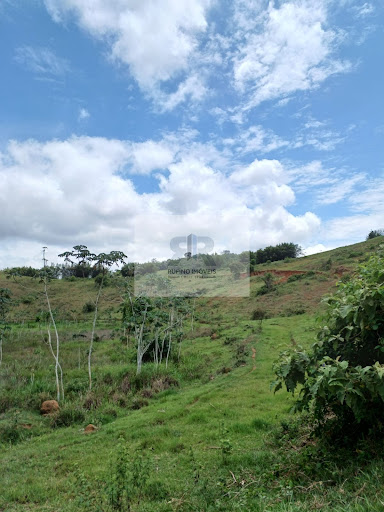 Sítio em Aracati - Cataguases, MG