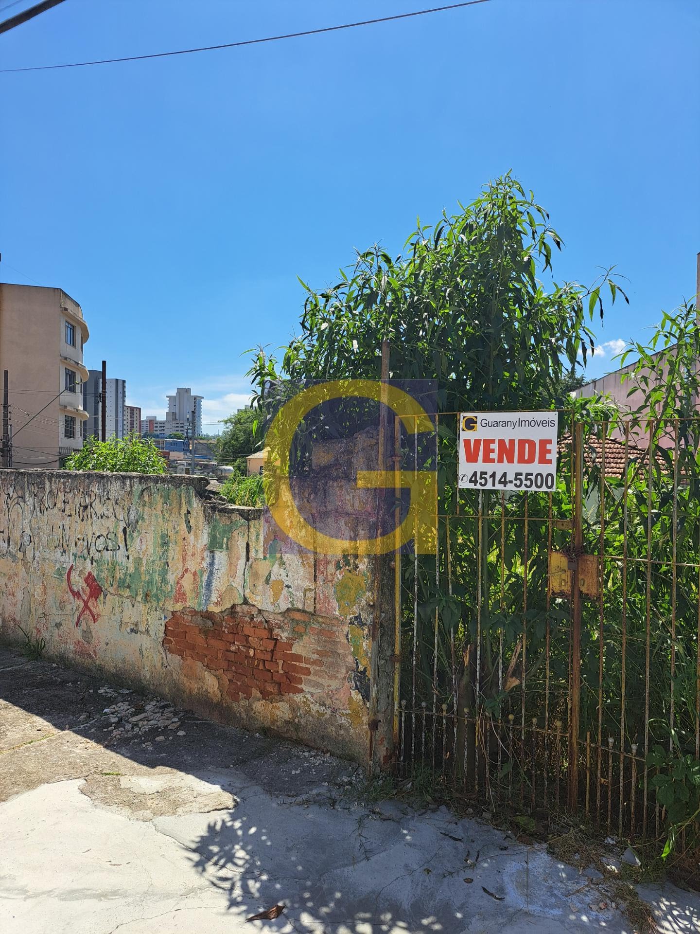 Portão