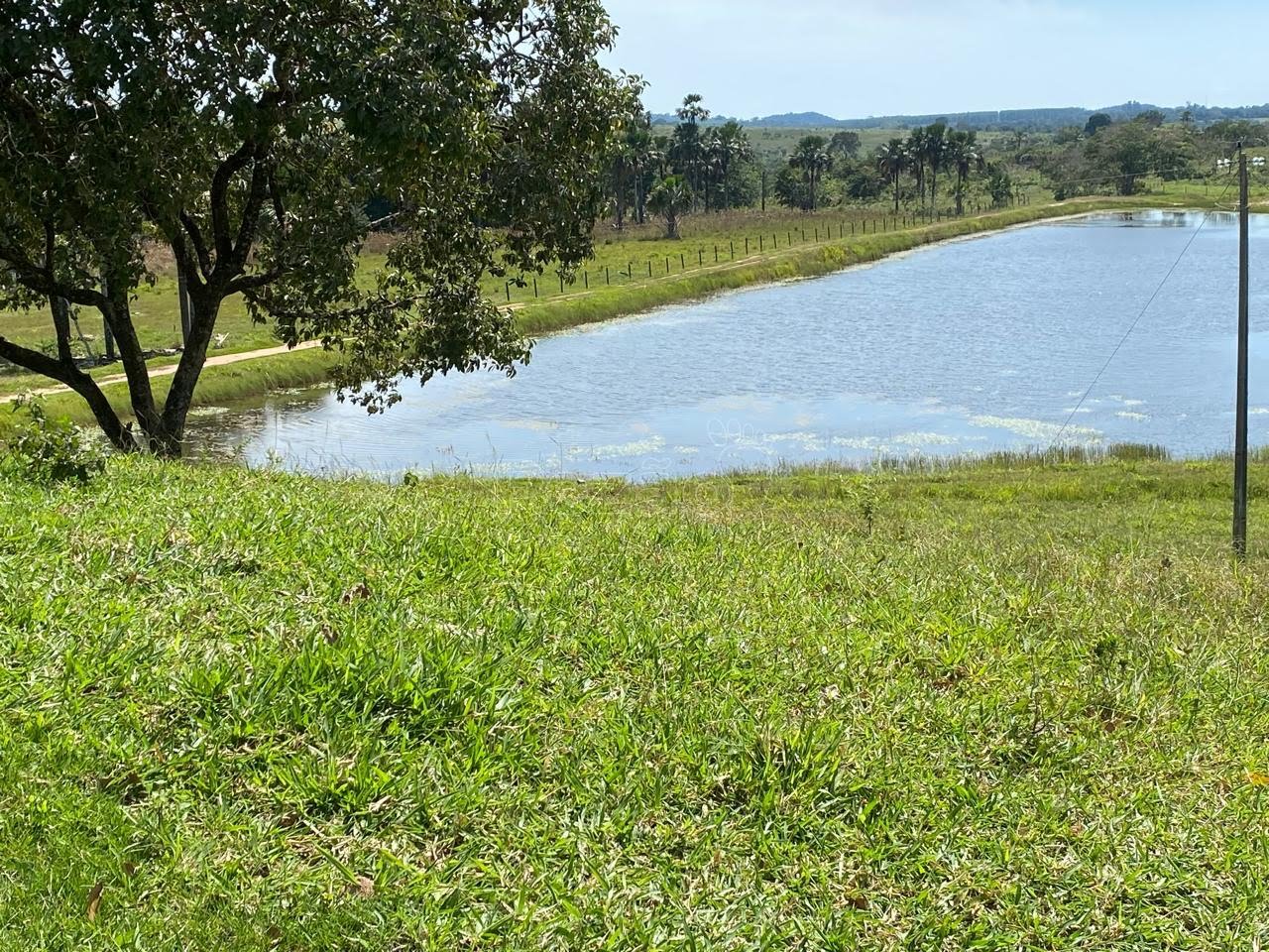 Rural à venda no Zona Rural, Itapuranga (GO) — foto 4 de 18