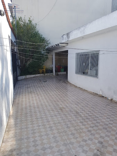 quintal