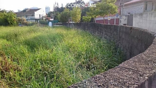 Foto 09