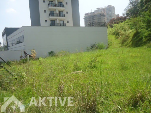 Foto 08