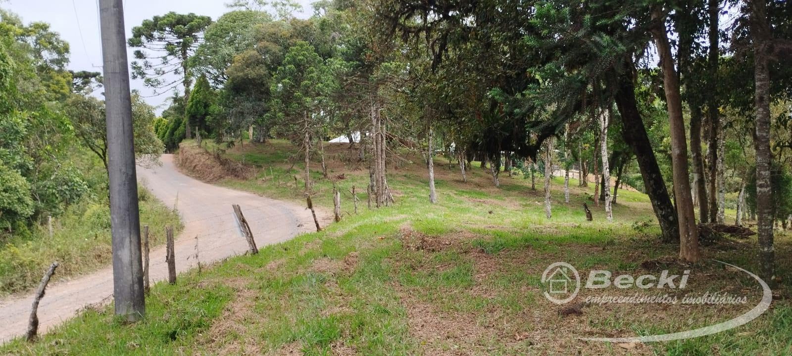 Fazenda/sítio/chácara/haras à venda  no Laranjeira - Campo Alegre, SC. Imóveis