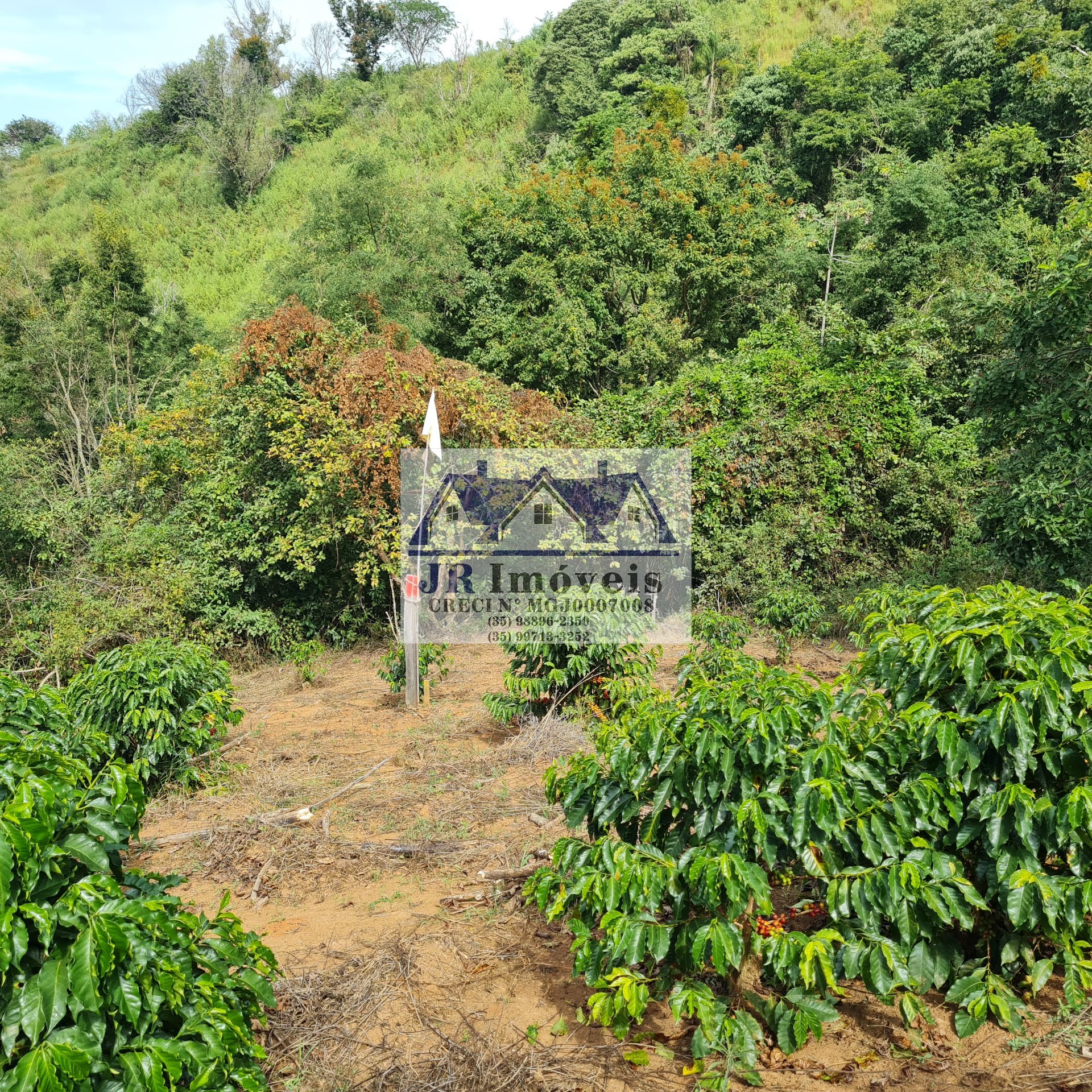 Terreno à venda com 21237m² de terreno no Pinheirinho, Itajubá (MG) — foto 19 de 30