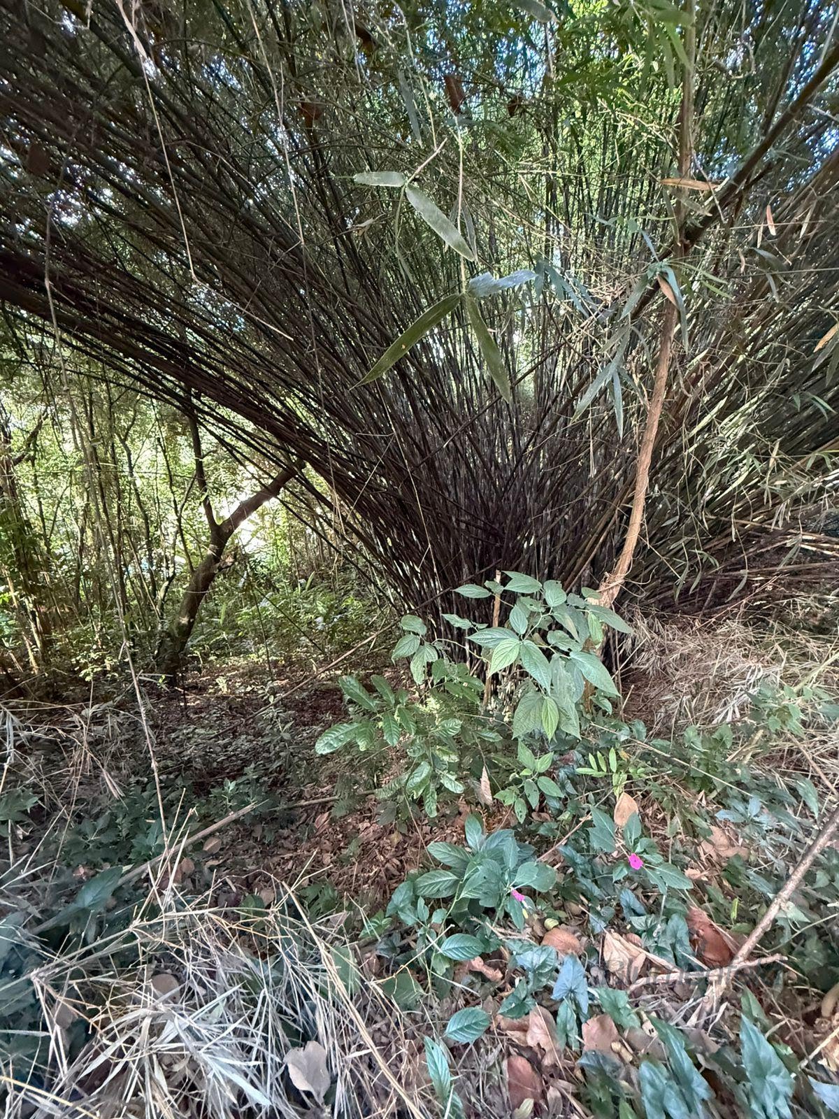 Terreno à venda com 1437m² de terreno no Condomínio Arujazinho II, Arujá (SP) — foto 6 de 6