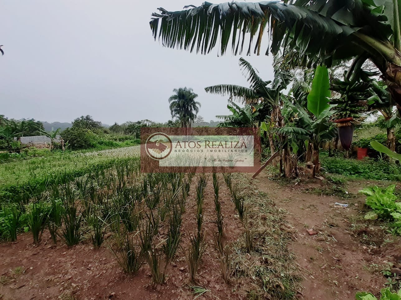 Rural à venda com 1300m² de terreno no Cidade Luz, São Paulo (SP) — foto 6 de 30