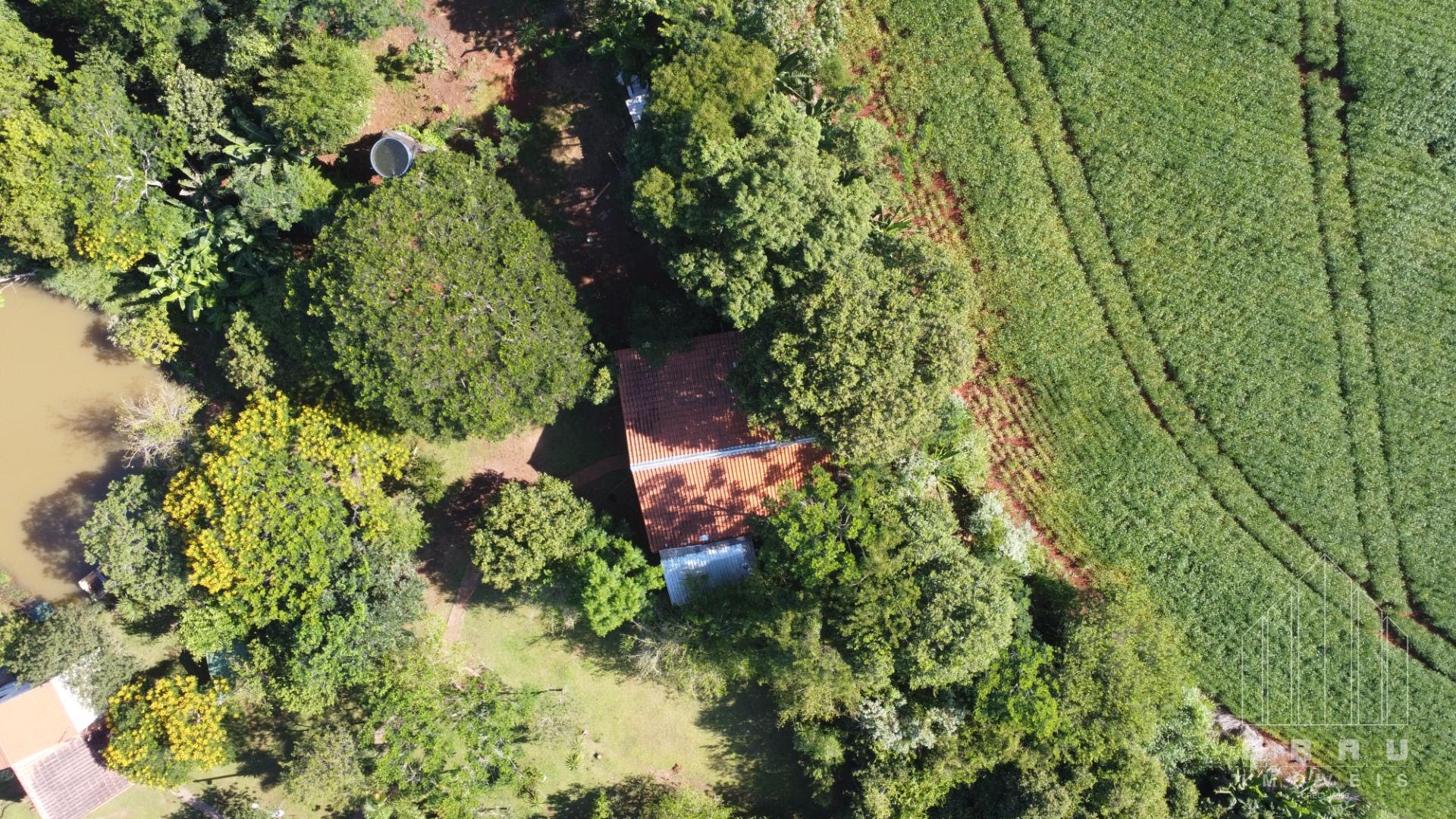 Chácara na Area Rural  -  Foz do Iguaçu