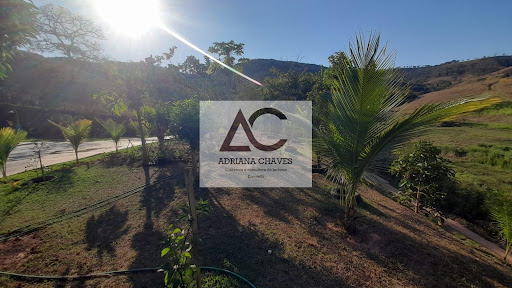 Chácara em Zona Rural  -  Ponte Nova