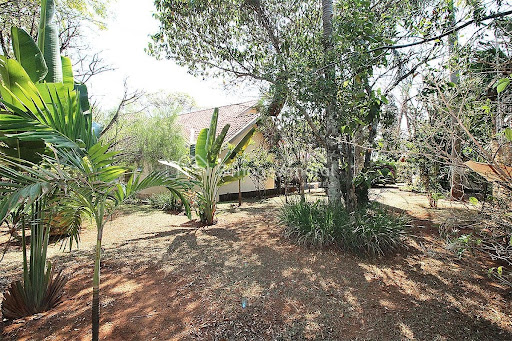 Casa, 3 quartos, 300 m² - Foto 6