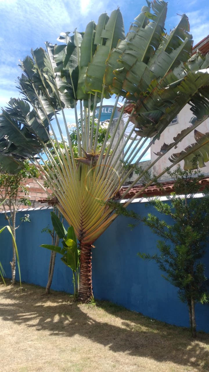 Casa à venda com 5 quartos, 2 suítes, 2 vagas e 130m² no Coroa Vermelha, Santa Cruz Cabrália (BA) — foto 5 de 10