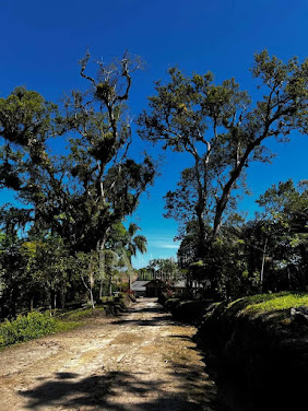 Chácara  a venda em   Rio Negrinho