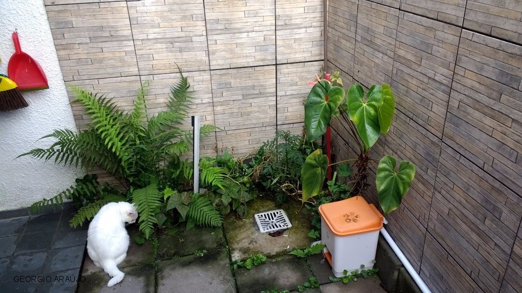 Apartamento à venda com 2 quartos, 1 banheiro e 1 vaga no Loteamento City Jaragua, São Paulo (SP) — foto 19 de 22