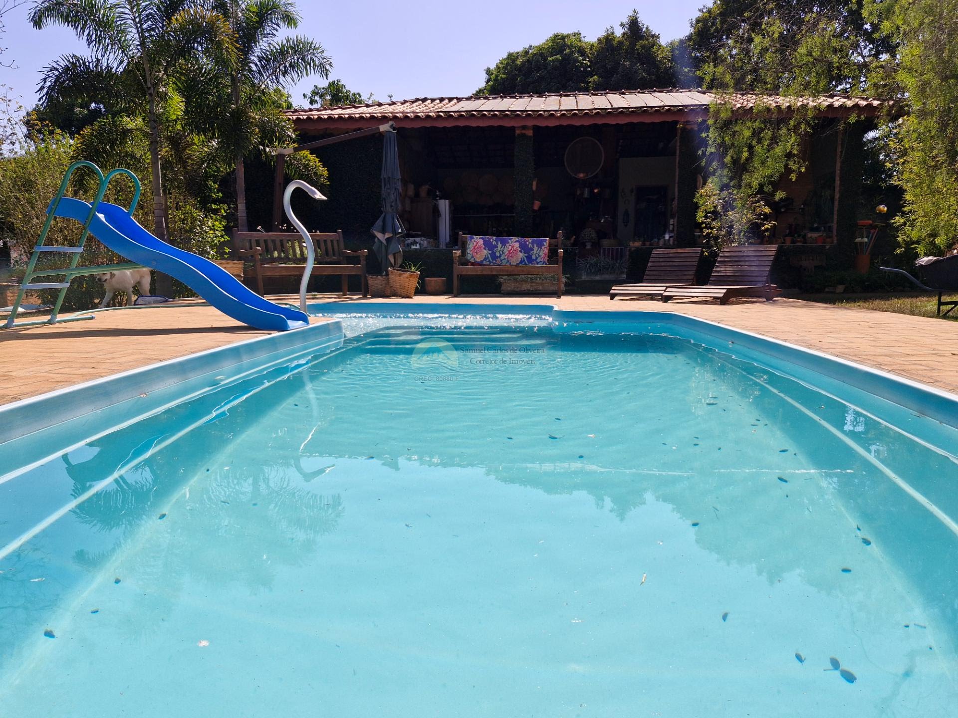 Chácara a venda em Casa Branca SP