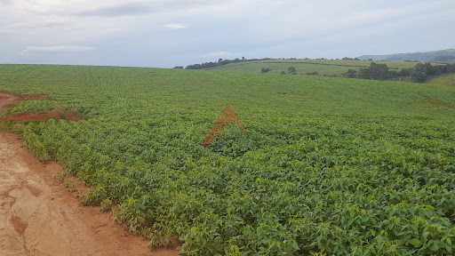 Fazenda em Seritinga/MG
