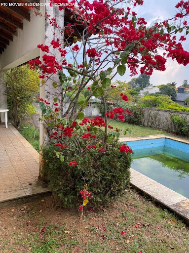Foto 02