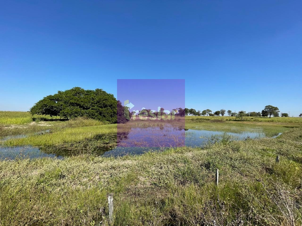 Rural à venda com 1710000m² de terreno no Fazenda, Três Lagoas (MS) — foto 4 de 30