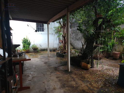Quintal