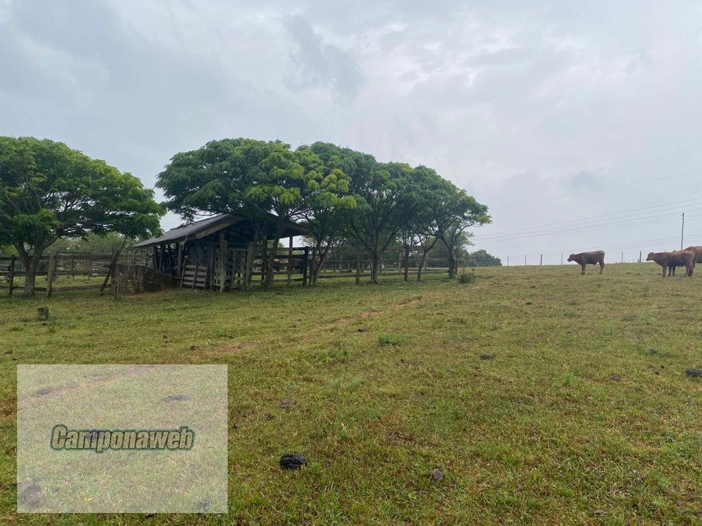 Fazenda Barra do Ribeiro