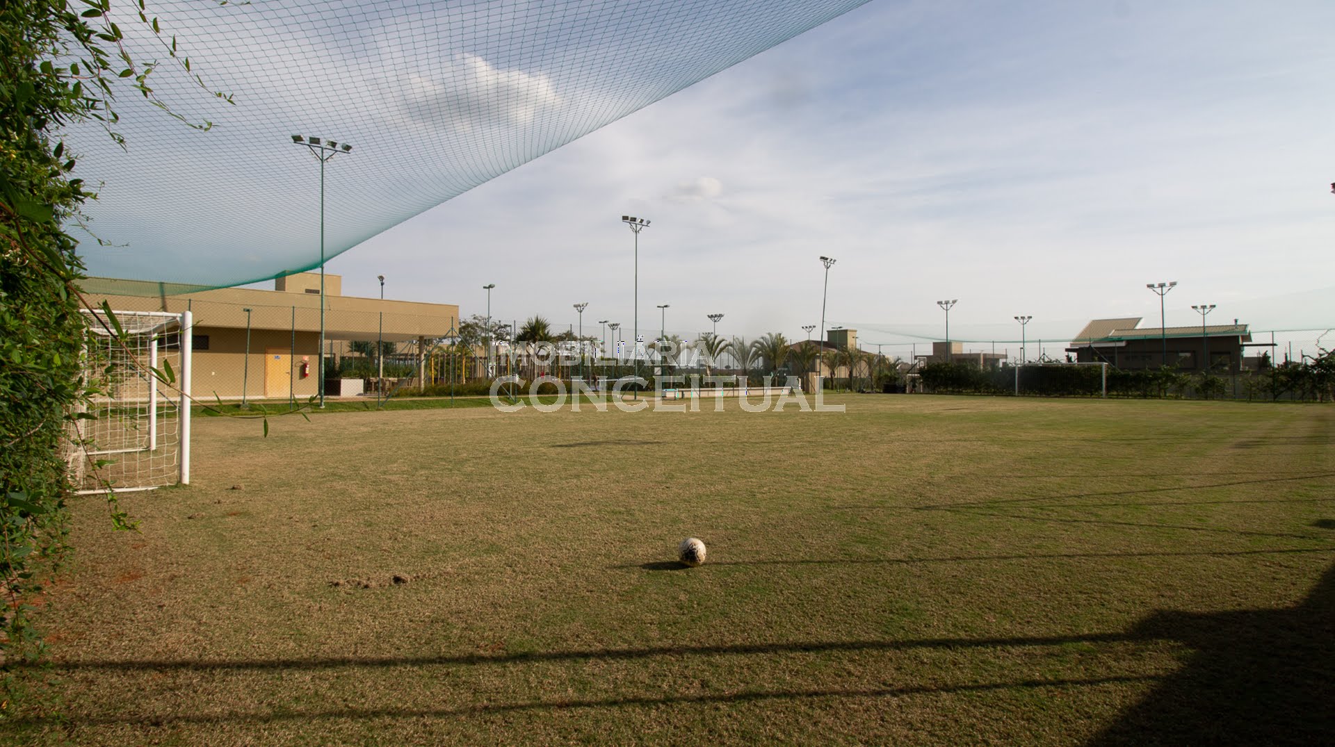 Mini Campo