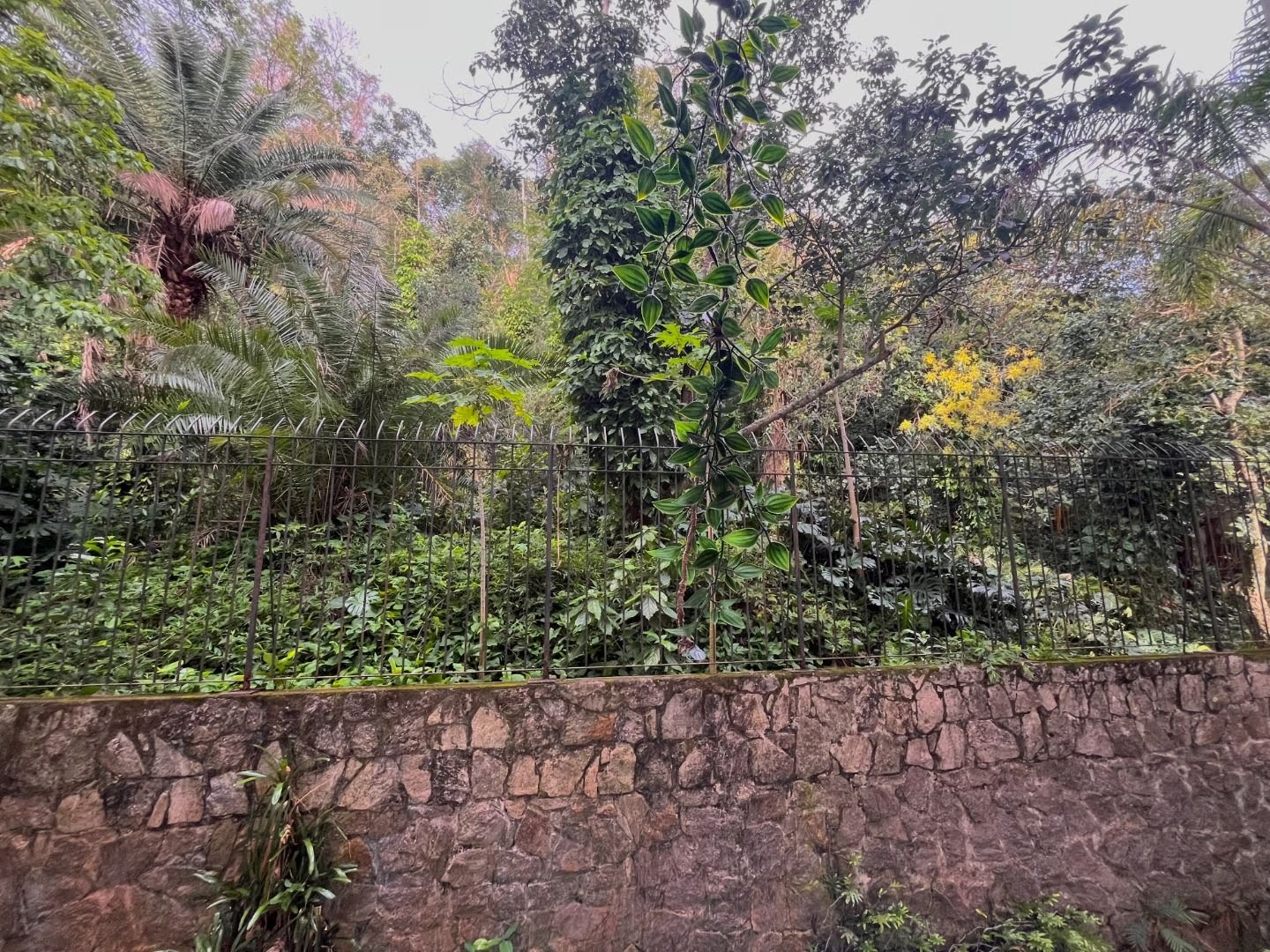 Apartamento à venda com 4 quartos, 2 suítes, 2 vagas e 247m² no Lagoa, Rio de Janeiro (RJ) — foto 30 de 30