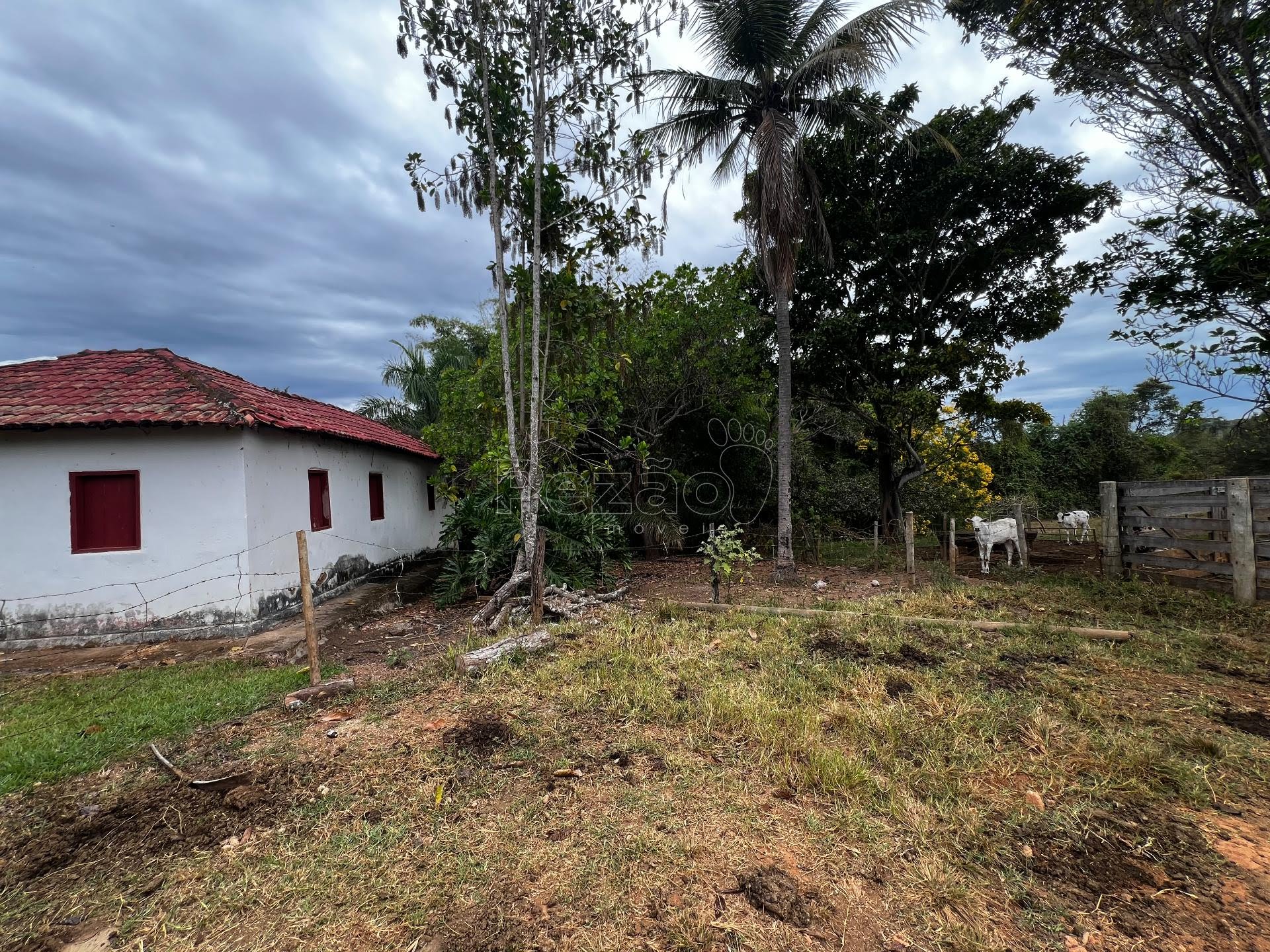 Rural à venda no Estrada Que Liga Itapuranga A Vila São José, Itapuranga (GO) — foto 28 de 30